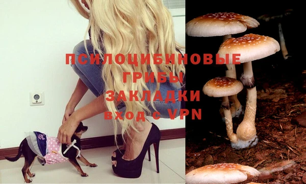 прущий лед Абаза