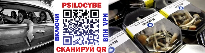 Галлюциногенные грибы Psilocybe  Кизляр 